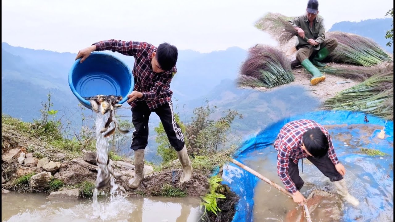 father and son dig ponds for fish to lay eggs episode 2. life outside ...