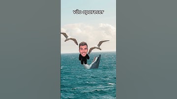 Como sobreviver a um ataque de tubarão (Tutorial)