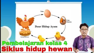 Pembelajaran Tema 6  St.1 untuk kelas 4 "siklus hidup hewan"
