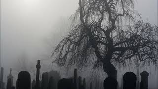MOURNING DAWN(FRANCE) TREE(2017)