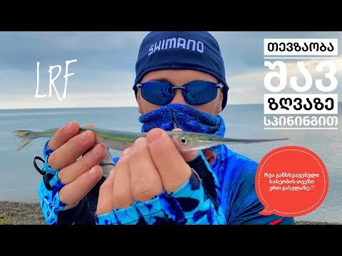 თევზაობა პილკერებით შავ ზღვაზე , რვა განსხვავებული თევზის სახეობა ერთ თევზაობაზე!?