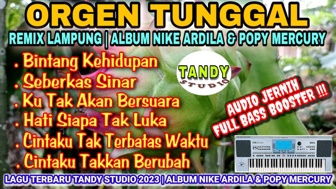 ORGEN TUNGGAL REMIX LAMPUNG ALBUM NIKE ARDILA & POPY MERCURY(@TANDY STUDIO), bintang kehidupan