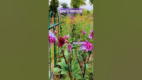 Ewing Cristian college Allahabad/ #ECC #video #college