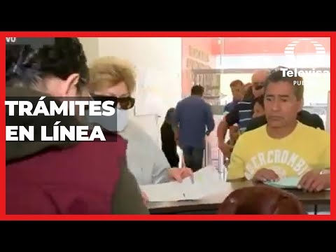 Trámites en línea | Las Noticias Puebla