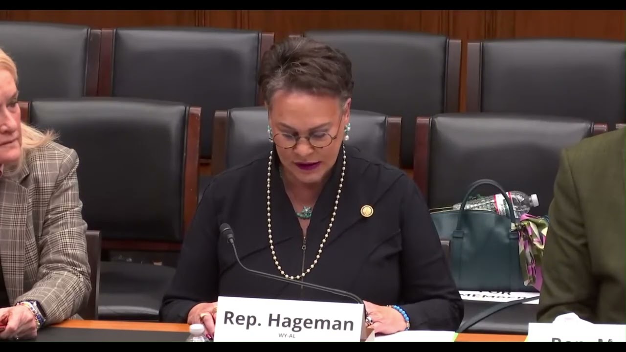 Hageman Testifies before T&I