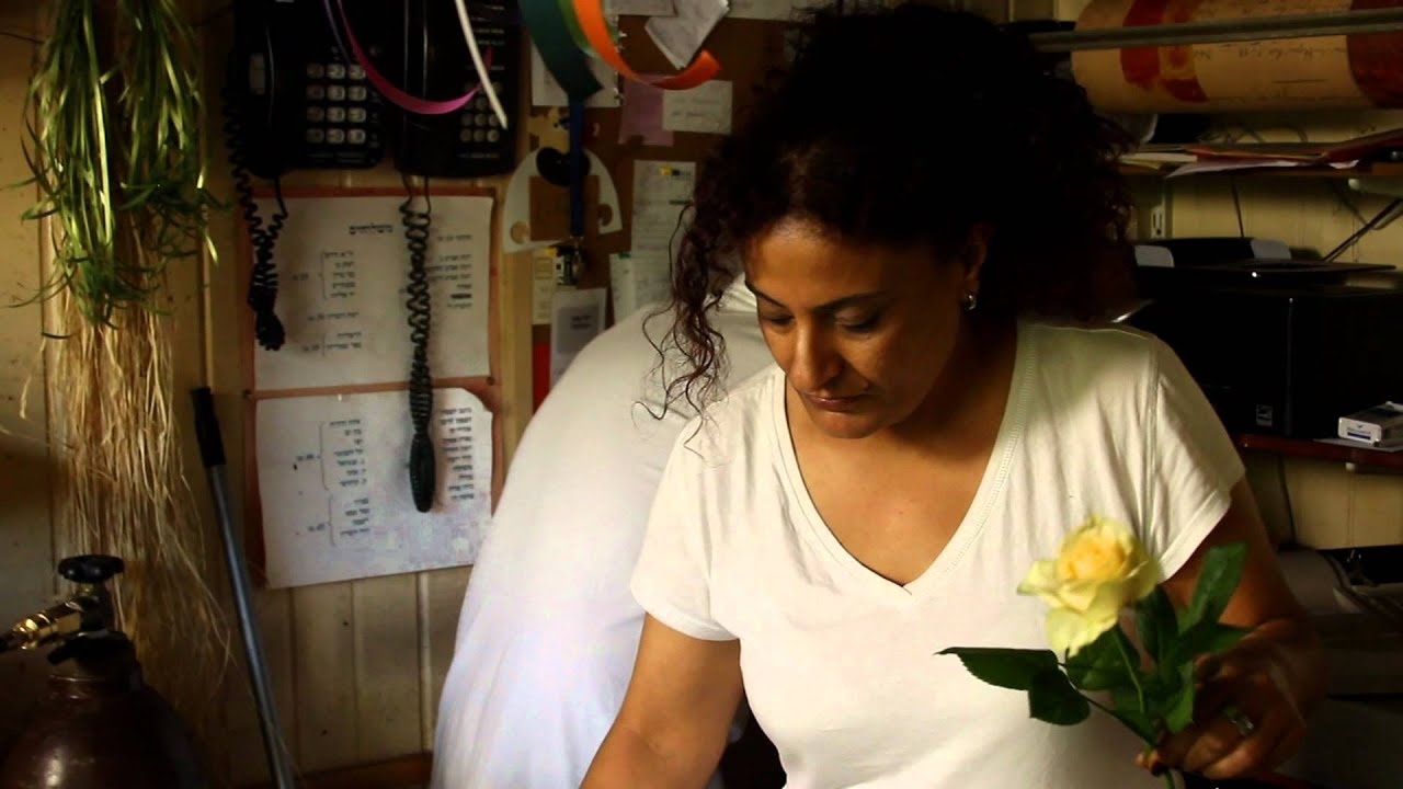 תכירו: פרחי ליס