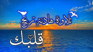 قران كريم بصوت جميل جداً يشرح القلب