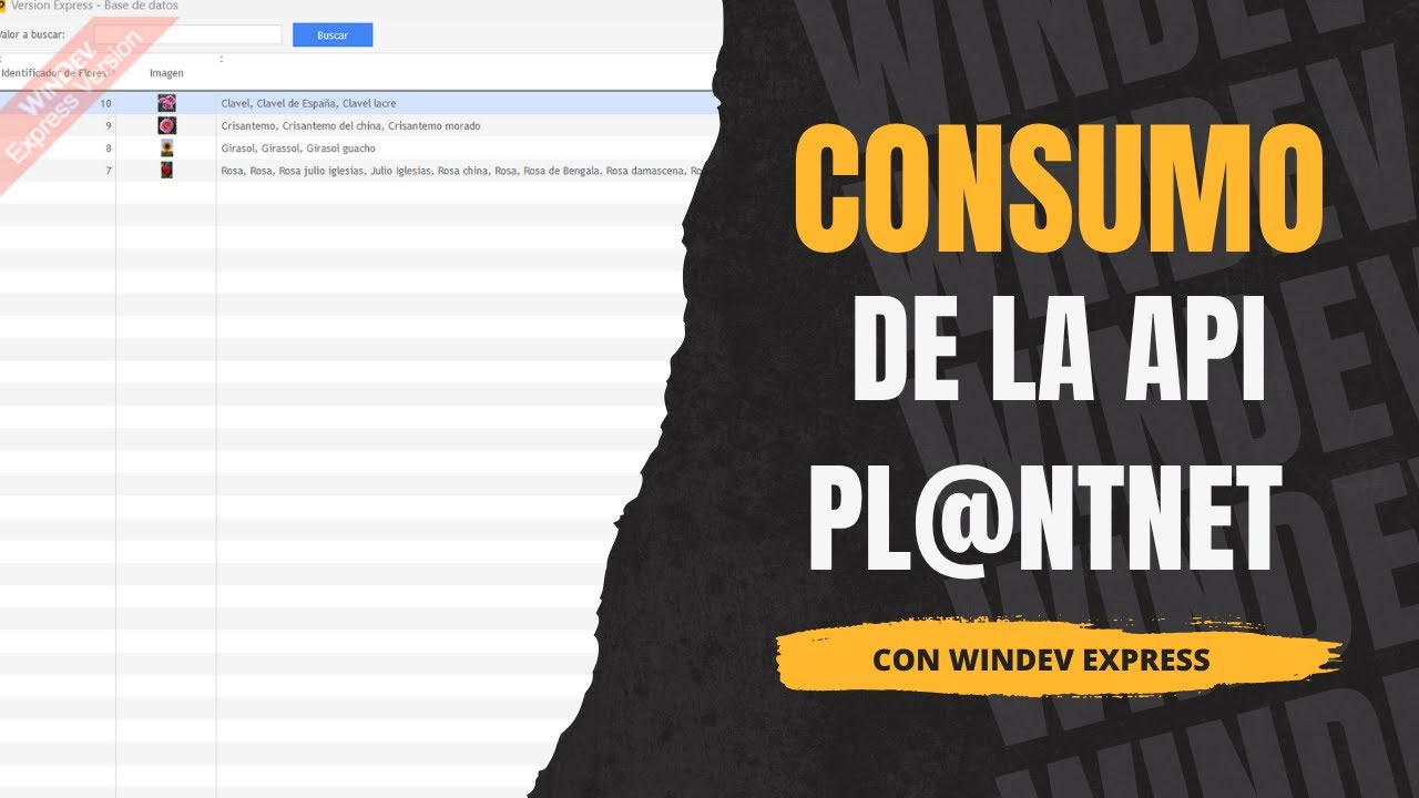 Consumo de la API Pl@ntNet en WinDev 🌺🔍 | Proyecto de Prueba y Aprendizaje