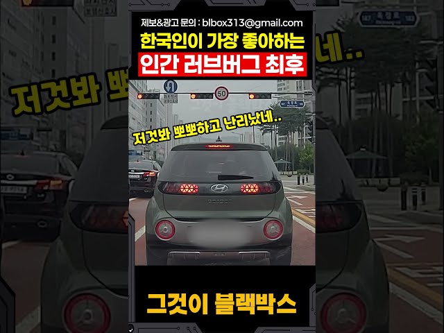 한국인이 가장 좋아하는 인간 러브버그의 최후