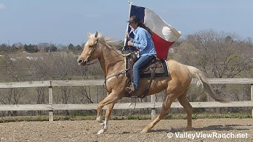 Hillbilly Butter - carrying the flag #2! - ValleyViewRanch.net