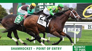 Shamrocket - 2021 - The Point Of Entry