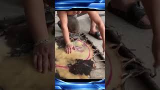 Gila! Proses Pembuatan Drum Raksasa dari Kulit Sapi Asli - Hasilnya Ngeri!