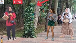 BUSHMAN PRANK,  FUNNY,  JUST FOR LAUGHING,  LUCU