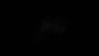 Muzzle Flash Straight 10