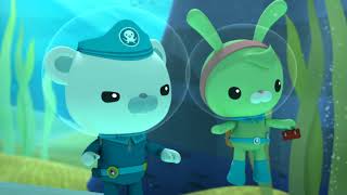 Октонавти і краб декоратор — пізнавальне відео