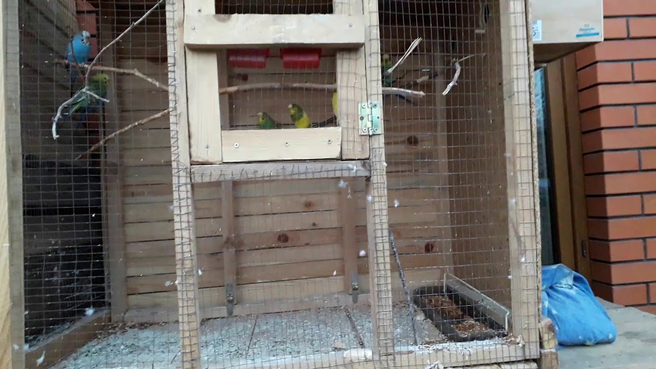 Установил всё  на свои места.