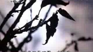 20090525-2《靜思晨語。法譬如水》十八不共法(四)