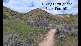 Shaw Mountain Trail, Boise Foothills