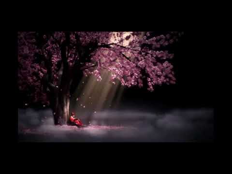 3 jam (+) musik instrumen sedih, kecapi Cina, Seruling, biola, bikin hati adem #RAF