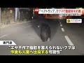 クマが住宅敷地に侵入…冬到来も警戒続く　「軽自動車みたいな大きさ」札幌ではヒグマ出没件数が過去最多に