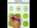 Los Recursos Naturales: Clasificación y Ejemplos Prácticos
