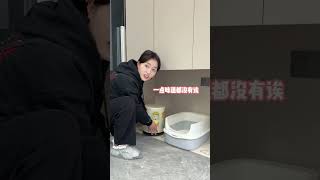 今天喂一只会跳舞的猫，好奇它会不会后空翻 #万物可爱计划 #猫咪的迷惑行为 #上门喂猫 #许翠花#美短虎斑
