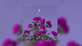 Download Lagu 𝘴𝘰𝘭𝘰 - 𝘤𝘭𝘦𝘢𝘯 𝘣𝘢𝘯𝘥𝘪𝘵 (s l o w e d + r e v e r b) MP3