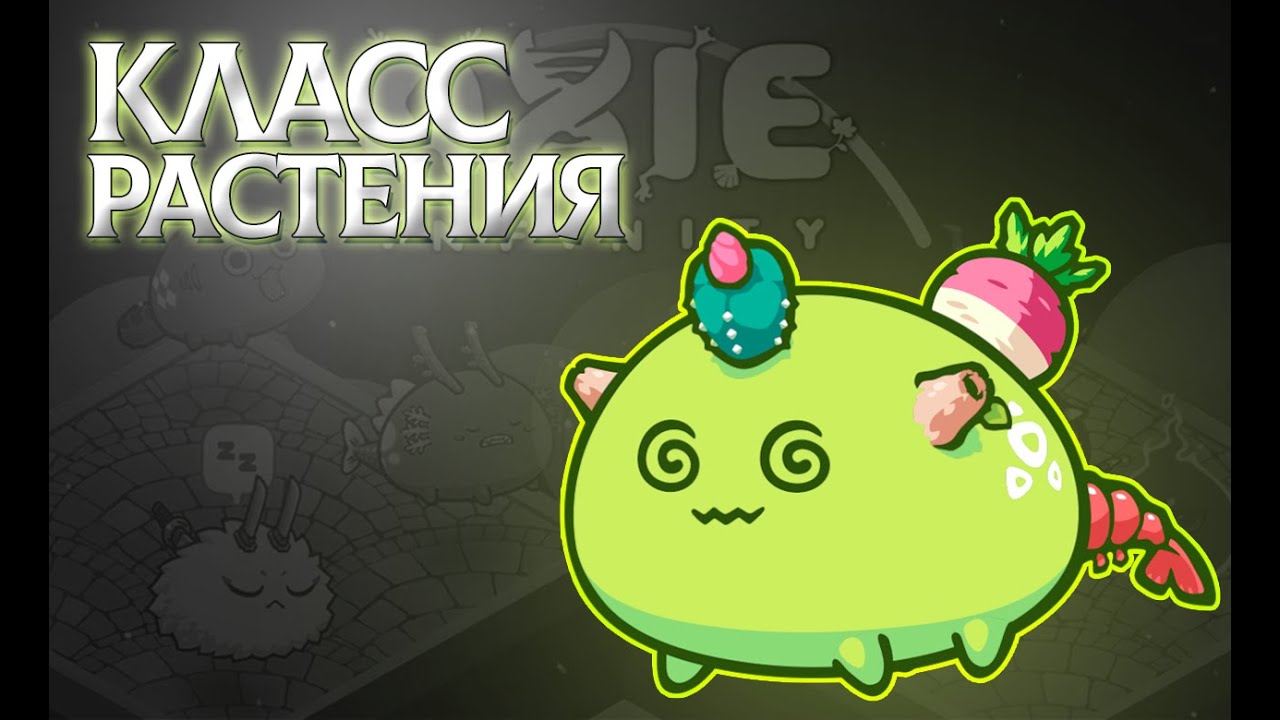 КЛАСС "РАСТЕНИЯ" l Разбор классов l AXIE INFINITY