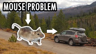 One Last Visit to Two of My Favorite Places (& Mouse Trouble!) – SUV Camping/Vanlife Adventures