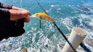 Coastal fishing with artificial lure