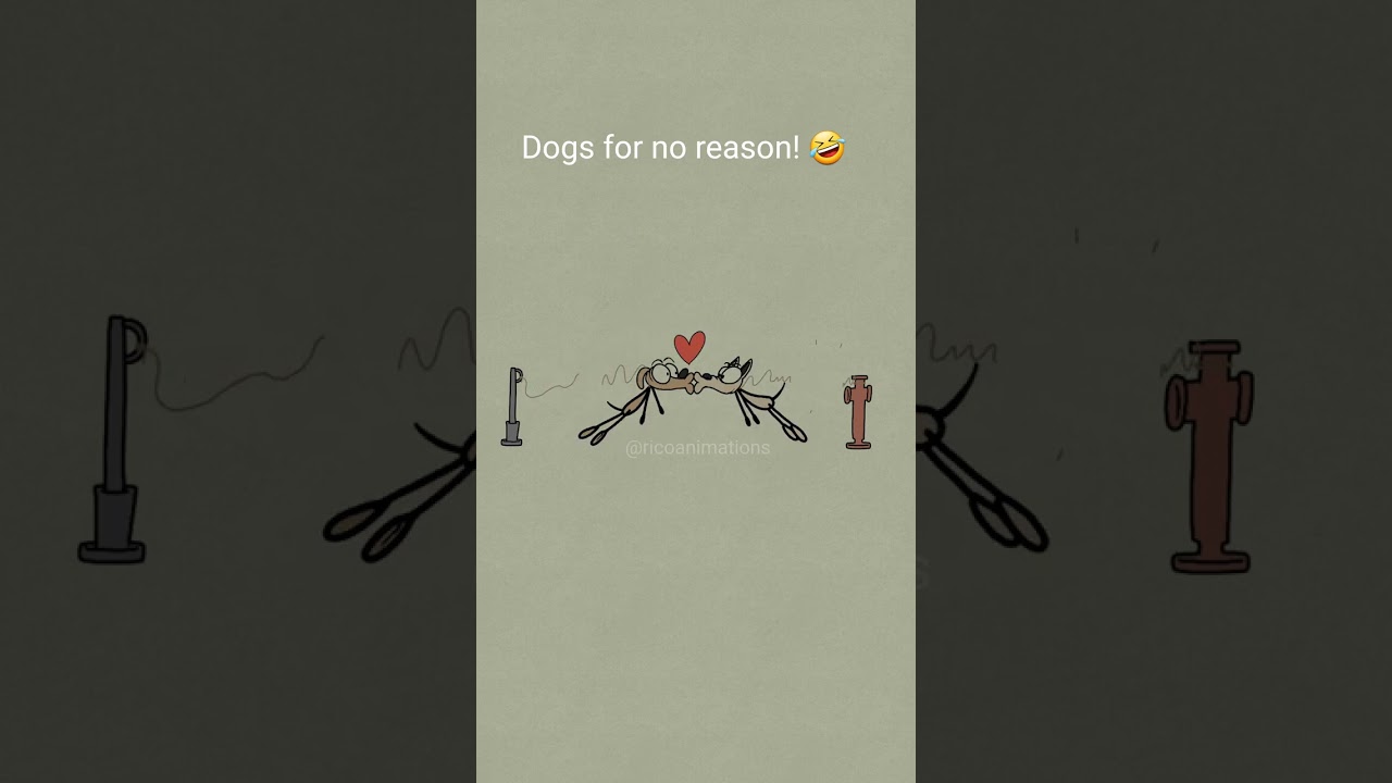 Dogs for no reason! 🤣 (4k memes)  