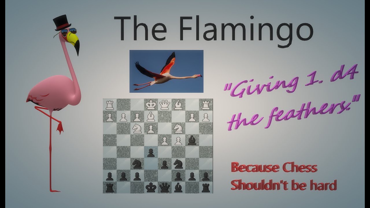 The Flamingo; An EZ Lifestyle against 1. d4