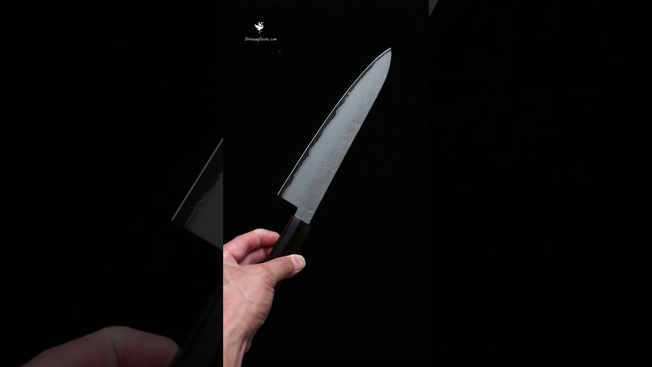堺孝行 牛刀包丁 VG10鋼 梨地仕上 黒檀柄 210mm | Gyuto Sakai