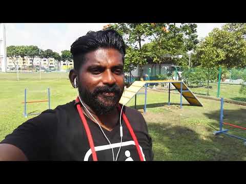 How many times play with new puppy | Training SAMSWAY