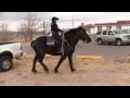Albuquerque Police Department APD Mounted Unit Rides In Kirtland Neighborhood Parade