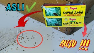AWAS ❗Kapur Ajaib Tiruan | ini Bedanya 👇