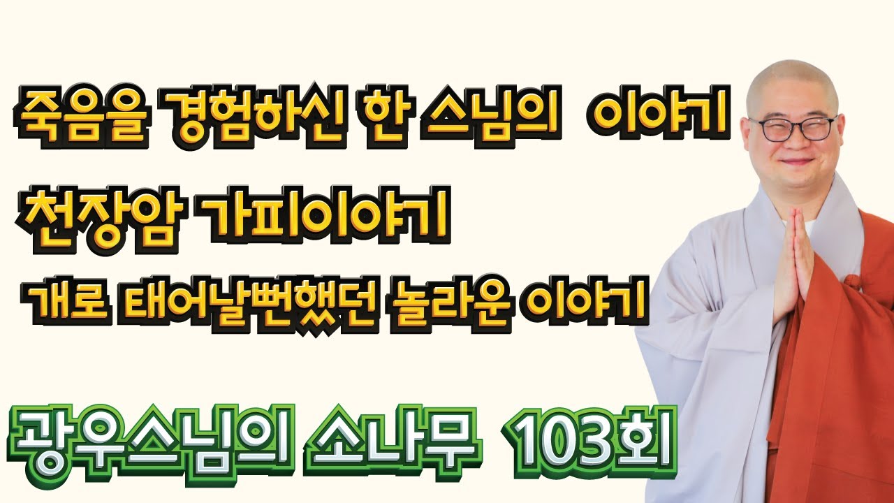 죽음에서 살아난 사람들 | 광우스님의 소나무 103회