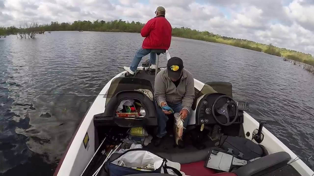 Sam Rayburn Bass Fishing YouTube