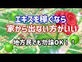 エキスを稼ぐなら家にいた方がいい!!地方民でも使える最強の裏技に、一同驚愕 !!!【ピクミンブルーム / Pikmin Bloom 】