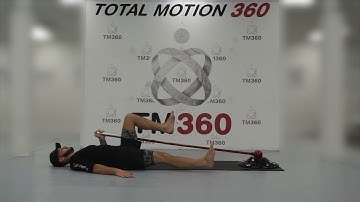 Dead Bug Floor Press - Total Motion 360