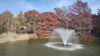 Clark Gardens Botanical Park - Autumn Session 🍁🍂