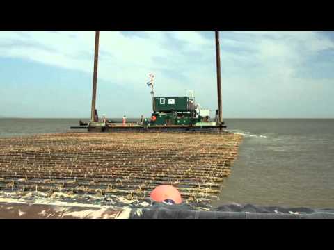 The Safe Coast - Coastal protection