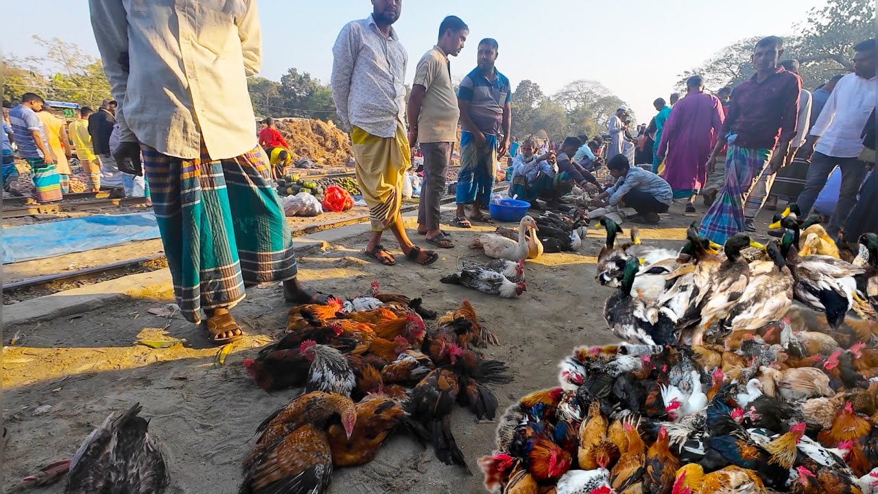 গ্রামীণ হাঁটে কম দামে দেশি হাঁস, মোরগ, সবজি বিক্রি | rural market in Bangladesh 