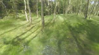 Bolehill Wood Padley Nerfstudio Nerfacto Test - Neural Radiance Field Flythrough