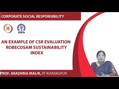 An Example of CSR Evaluation: RobecoSAM Sustainability Index