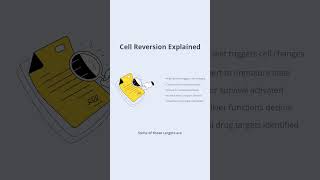 Study High fat diets make liver cells more likely to become cancerous