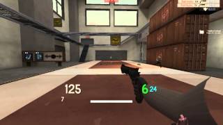 TF2 Weapon Preview : Strange Professional Festive Ambassador