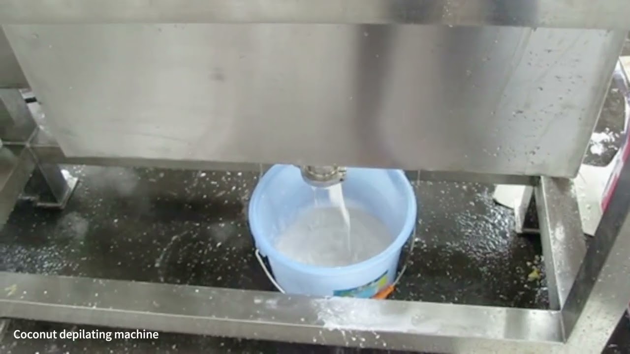 Coconut meat grinder machine
