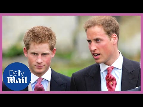 Prince harry alleges he wore nazi costume because of william and kate middleton