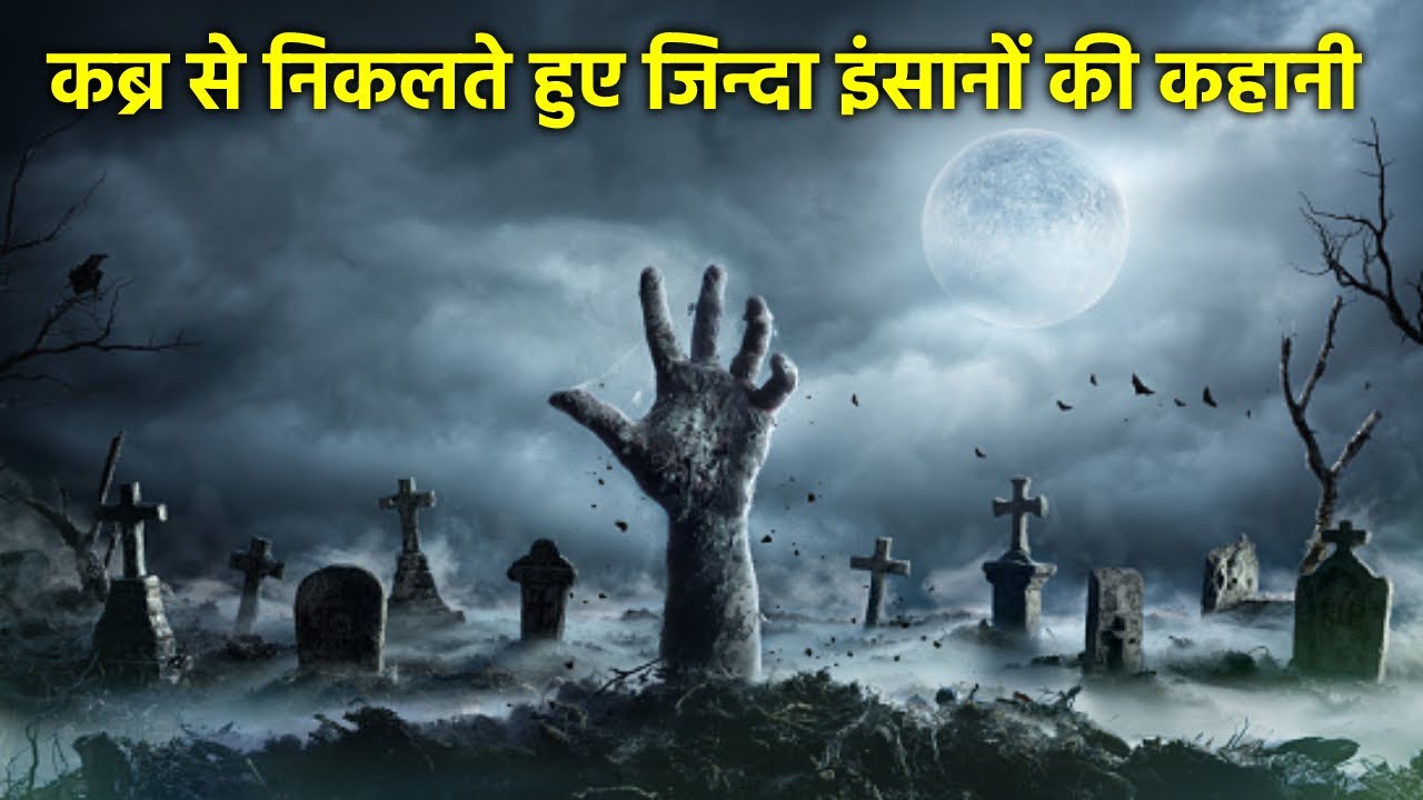 Life After Beth (2014) Full movie Explained in Hindi | Life After Beth movi in  Hindi